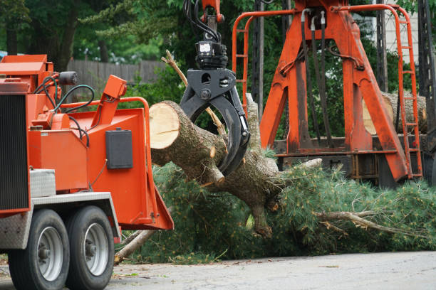 Mulching Services in Brush, CO